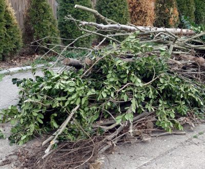 yard-debris-service