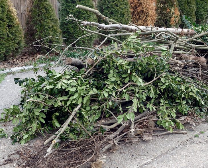 yard-debris-service